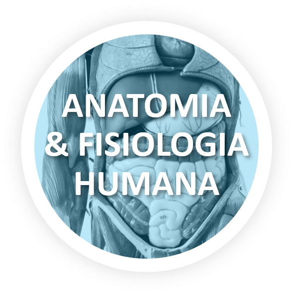 anatomia-e-fisiologia-humana